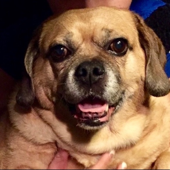 Meet your Posher, Ashalee - Picture 5 of 7